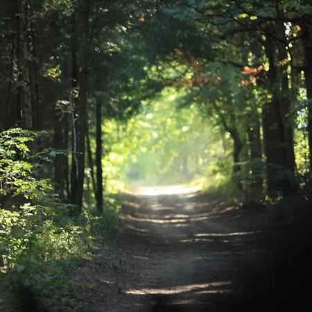 Отель Residenz 4*